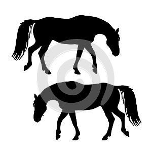 A set of silhouettes of horses isolated on a white background.